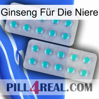 Ginseng Für Die Niere 29